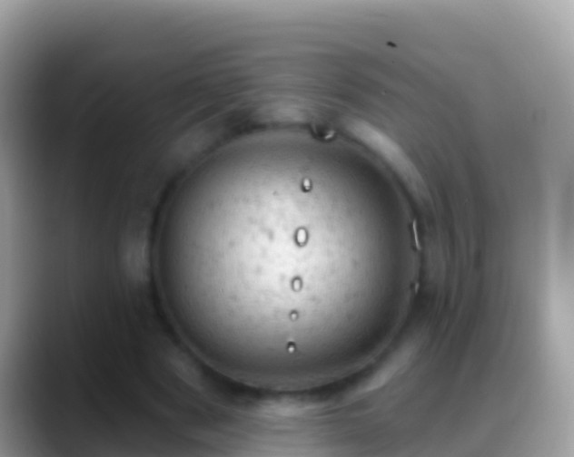 X0000088650489200706011224