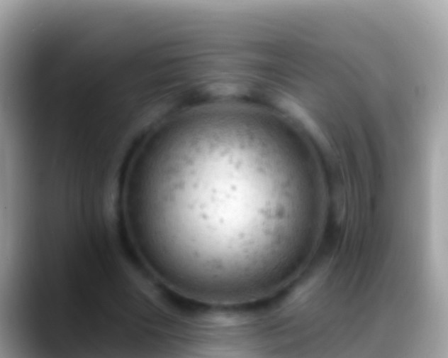 X0000088650490200706011224