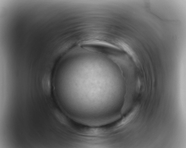 X0000088650493200706011223