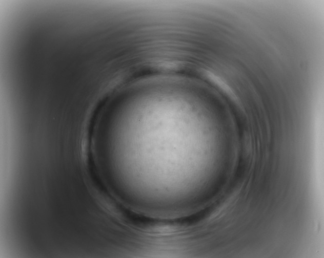 X0000088650494200706011223