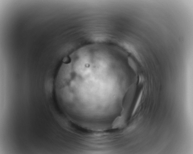 X0000088650495200706011223