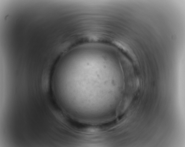 X0000088650496200706011223