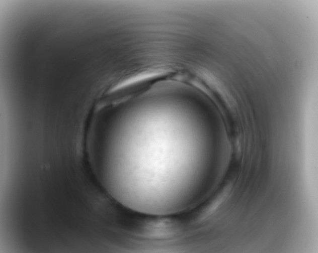 X0000088650497200706011223