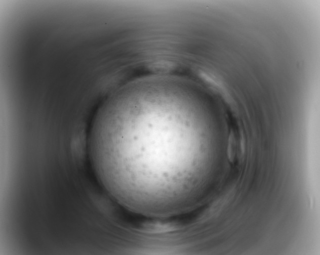 X0000088650498200706011223