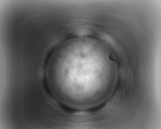 X0000088650499200706011223