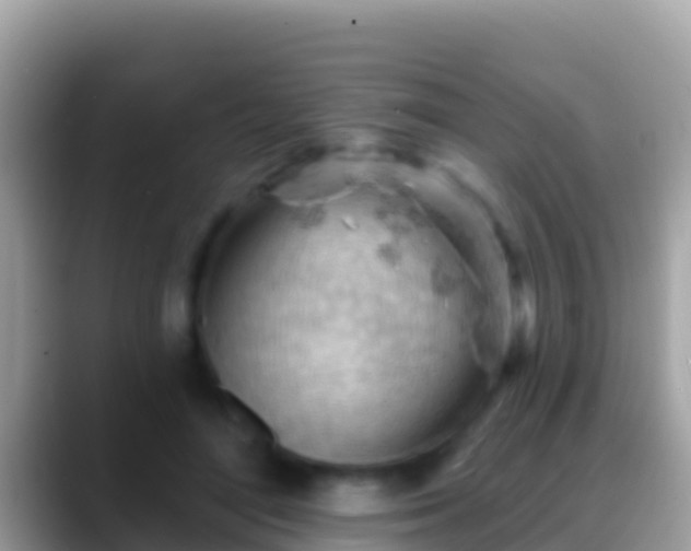 X0000088650500200706011223