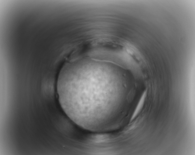 X0000088650501200706011223