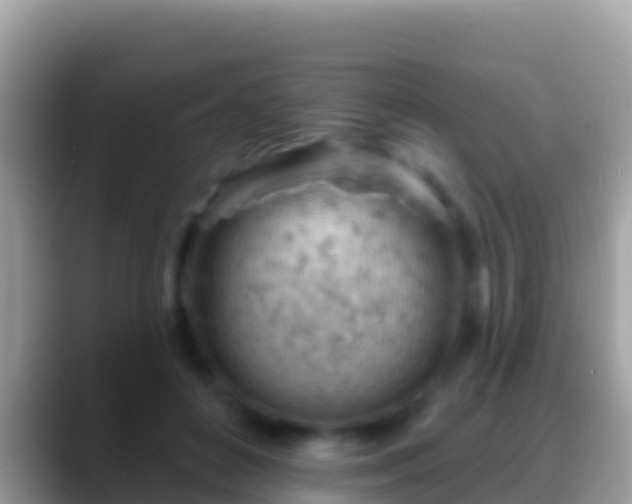 X0000088650504200706011223