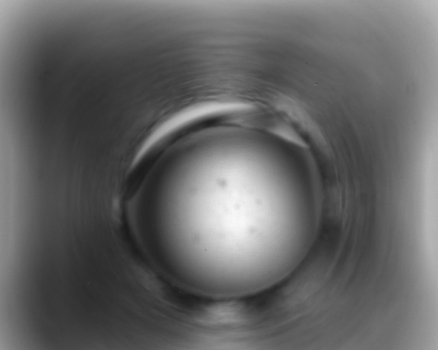 X0000088650505200706011223