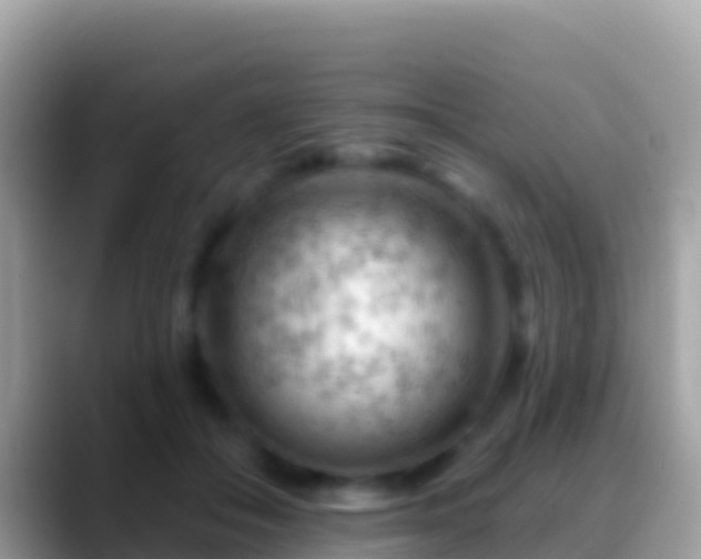 X0000088650506200706011223