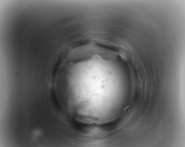 X0000088650507200706011223