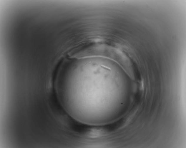 X0000088650508200706011223