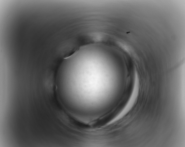 X0000088650509200706011223