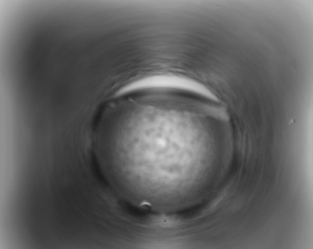 X0000088650511200706011223