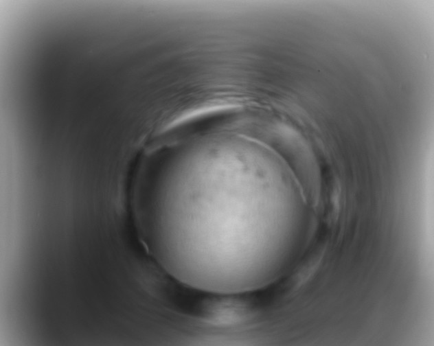 X0000088650512200706011223