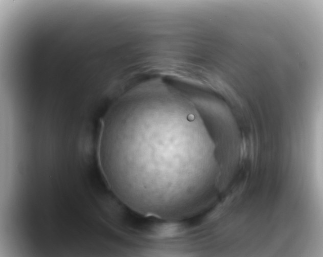 X0000088650513200706011223