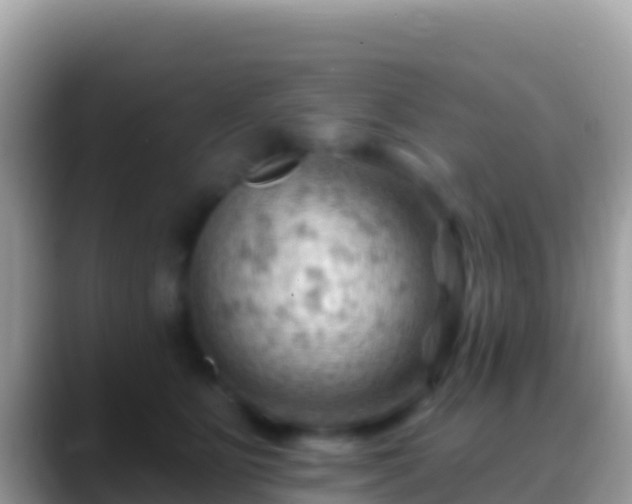 X0000088650515200706011223