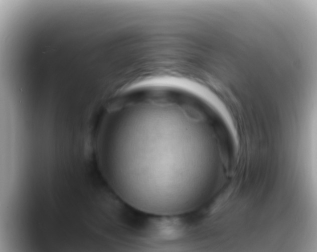 X0000088650517200706011223