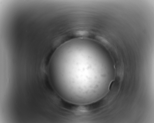 X0000088650518200706011223