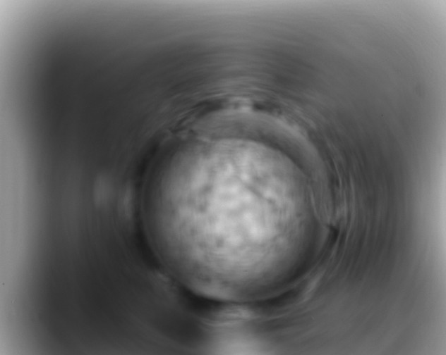 X0000088650519200706011223