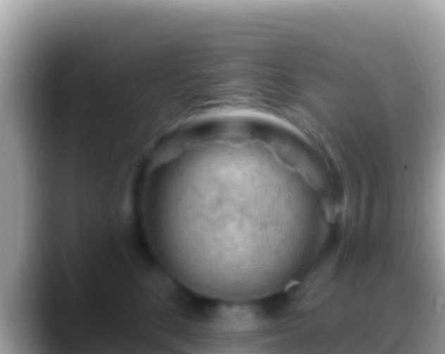 X0000088650520200706011223