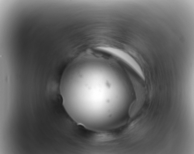 X0000088650521200706011223