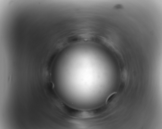 X0000088650522200706011223