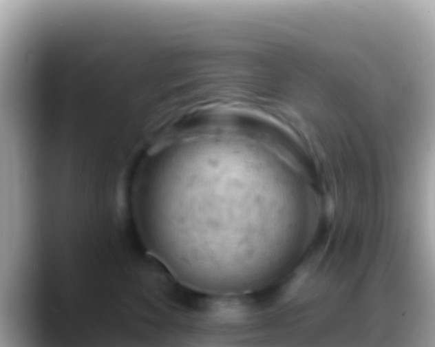 X0000088650524200706011223