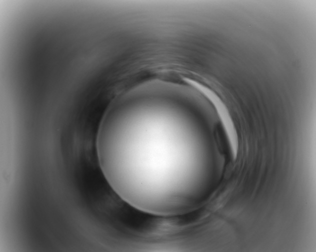 X0000088650525200706011223