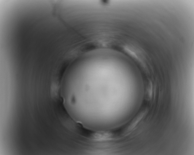 X0000088650526200706011223