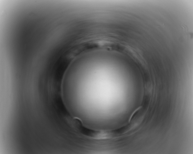 X0000088650527200706011223