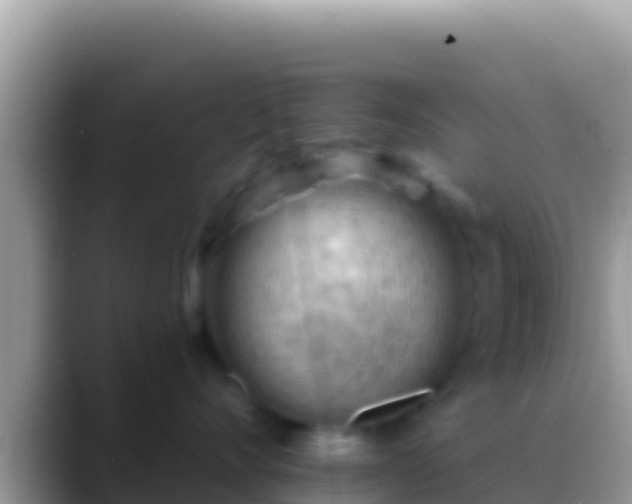 X0000088650528200706011223