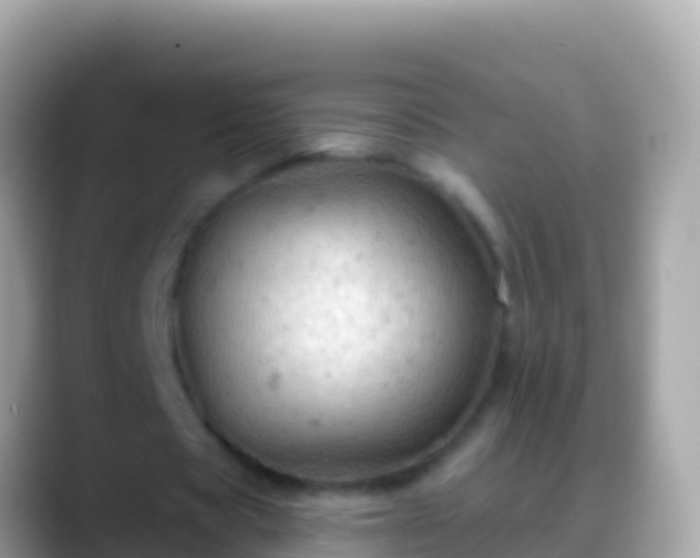 X0000088650529200706011223