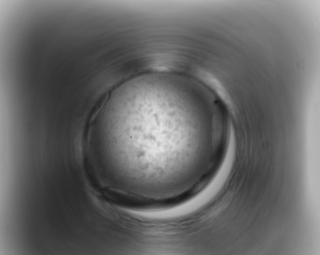 X0000088650530200706011223