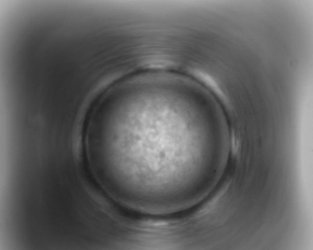 X0000088650531200706011223