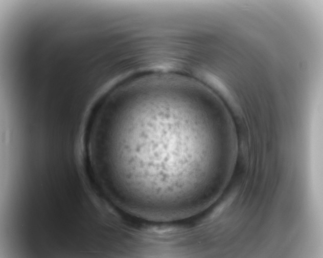 X0000088650532200706011223