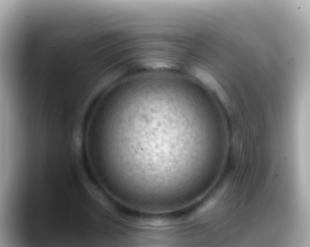 X0000088650533200706011223