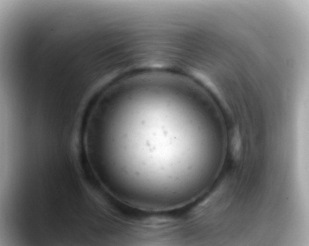 X0000088650536200706011223