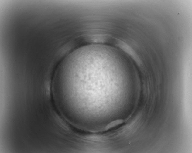 X0000088650537200706011223