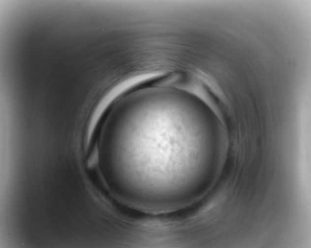 X0000088650538200706011223