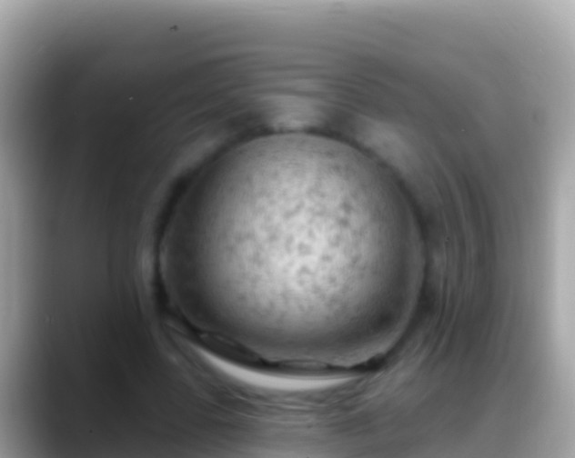 X0000088650539200706011223