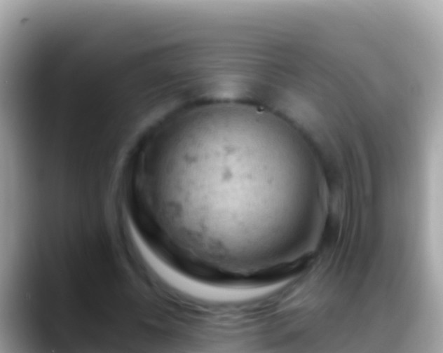 X0000088650540200706011223