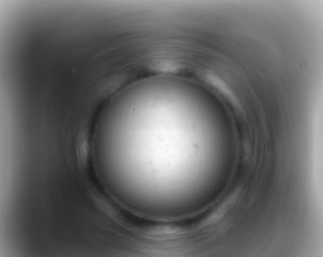 X0000088650541200706011223