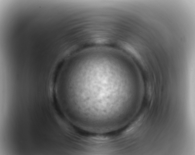 X0000088650542200706011223