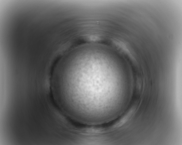 X0000088650545200706011223