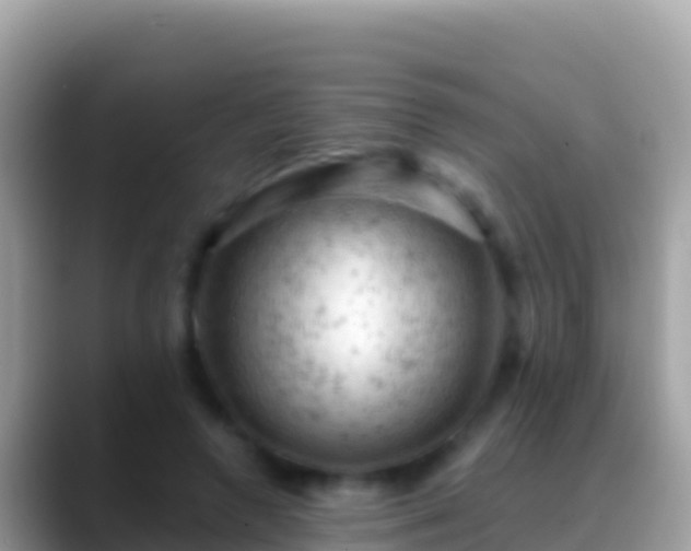 X0000088650546200706011223