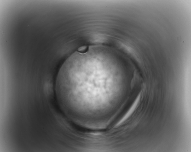 X0000088650547200706011223