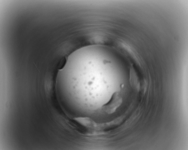 X0000088650548200706011223