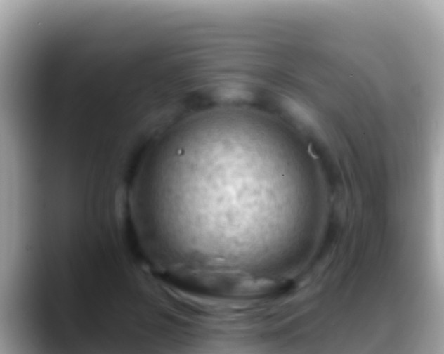 X0000088650550200706011223