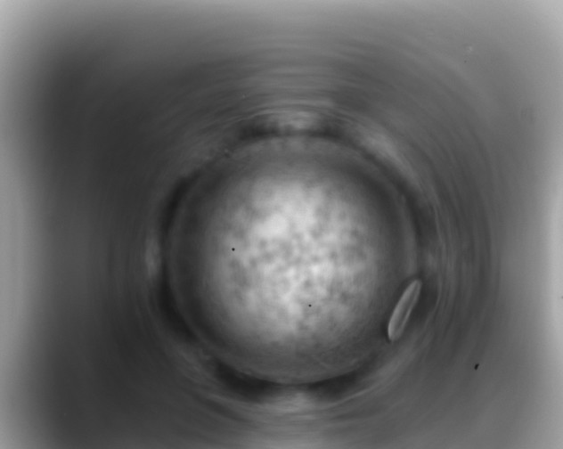 X0000088650551200706011223